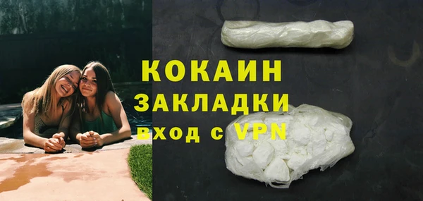 дживик Арсеньев
