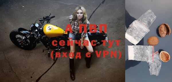 дживик Арсеньев