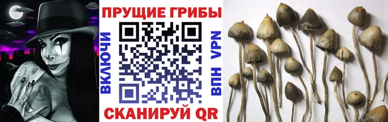 как найти Остров Псилоцибиновые грибы мухоморы